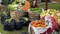 Pernikahan Viral di Madiun, Tamu Bebas Ambil Souvenir Sayuran Bikin Kalap