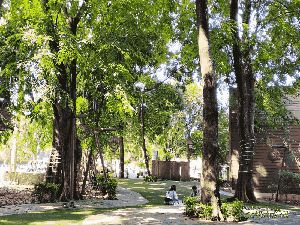 Bamboo Park di Tangerang, Serasa di Puncak, Asri dan Adem