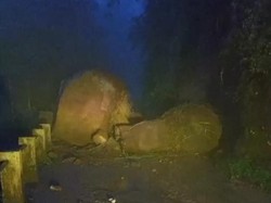 Jalan di Lereng Merbabu Boyolali Tertutup Batu Besar akibat Longsor