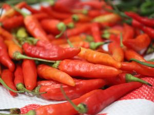 Harga Sembako Jogja Hari Ini 5 November 2025: 3 Jenis Cabai Naik-Turun!