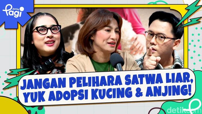 Video: Jangan Pelihara Satwa Liar, Yuk Adopsi Kucing & Anjing!
