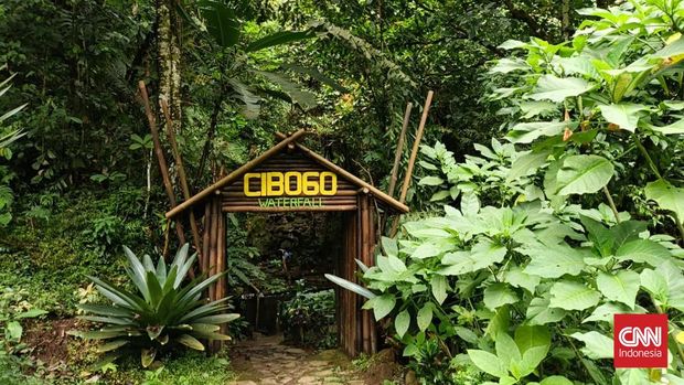 Hasil foto Infinix Hot 60 Pro Plus