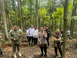Forkopimda Bogor Tanam Pohon di Kawasan Puncak, Ajak Masyarakat Jaga Kelestarian Lingkungan