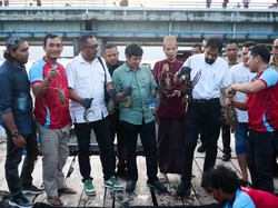 Melihat Budidaya Lobster di Banda Aceh Dipasarkan ke Jakarta-Bali
