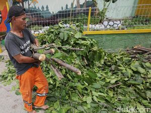 Masuki Musim Penghujan, Pohon, Ranting Hingga Semak Dibersihkan