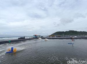 Cerita Narapidana Nusakambangan Bergelut di Tambak Udang