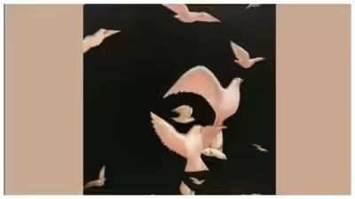 Tes kepribadian ilusi optik, gambar burung atau wajah perempuan yang pertama dilihat ungkap kepribadian dan caramu menjalani hidup.