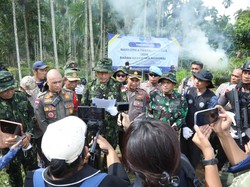 6,5 Hektare Ladang Ganja di Aceh Utara Dimusnahkan