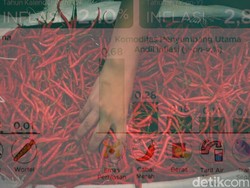 Video: 3 Provinsi Terdampak Bencana di Sumatera Alami Inflasi