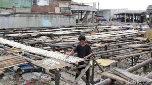 Cuaca Buruk Hambat Pengeringan Ikan Asin di Cilincing, Produksi Anjlok