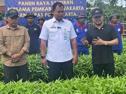 Jeruji Bukan Batas, Napi Lapas Purwakarta Panen 5 Kuintal Kangkung