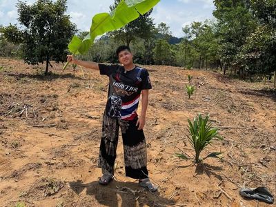 Jirayut Investasi Tanam Kelapa Sawit dan Durian Usai Beli Kebun 8.000 Meter