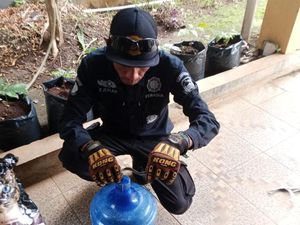 Pagi Mencekam Saat Rumah Warga di Kuningan Diserbu Lima Ular