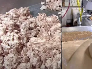 Rahasia Pabrik Hot Dog Ini Terkuak, Pakai 3 Daging Hewan Berbeda