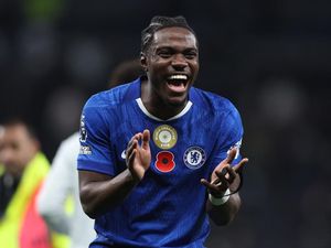 Kaki Kaca Romeo Lavia