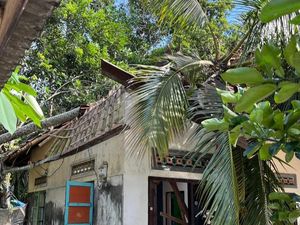 Rumah Warga Karangasem Hancur Akibat Tertimpa Pohon Kelapa