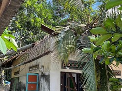 Rumah Warga Karangasem Hancur Akibat Tertimpa Pohon Kelapa