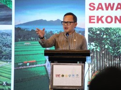 Bima Arya Sebut Rencana Tata Ruang Kunci Ciptakan Kota Berkelanjutan