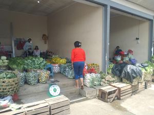 Cipratan Rezeki MBG ke Pedagang Sayur Tabanan