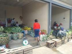 Cipratan Rezeki MBG ke Pedagang Sayur Tabanan