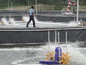 Video Rezeki dari Balik Jeruji: Kisah Baru Nusakambangan
