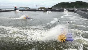Tambak Udang Vaname Nusakambangan Dorong Ketahanan Pangan Nasional