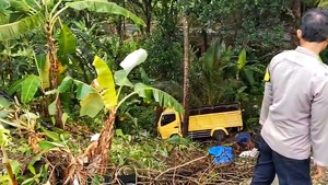 Truk Colt Diesel Masuk Jurang di Cisolok, Penumpang Luka