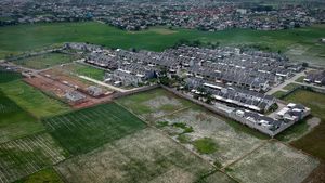 Sawah Kian Menyusut, Pemerintah Genjot Proyek Raksasa Cetak Lahan Baru