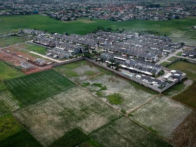 Sawah Kian Menyusut, Pemerintah Genjot Proyek Raksasa Cetak Lahan Baru