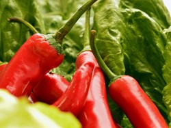 Harga Sembako Jogja Hari Ini 7 November 2025: Cabai Merah Belum Berhenti Naik!