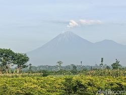 Gunung Semeru 7 Kali Luncurkan Guguran Lava Pijar Sejauh 2,5 Kilometer