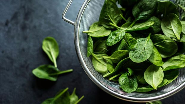 Ilustrasi sayuran bayam - Insertlive.com