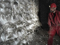 Wow! Jaring Laba-laba Raksasa Seluas Lapangan Bulu Tangkis Ditemukan di Negara Ini