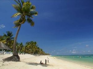 Pantai Nemberala, Surga Ombak dan Keindahan Tropis di Pulau Rote NTT