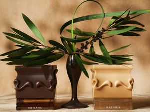 Saff & Co. Rilis Koleksi Cajuput, Parfum dengan Aroma Khas Indonesia