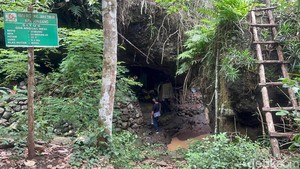 Cara Sekeluarga Manusia Gua Survive di Pedalaman Hutan Jombang