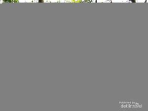 Pecinta Alam Wajib Tahu, Tempat Outbound Seru di Kota Bandung