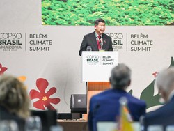 RI Gelontorkan Rp 16,7 T untuk Pulihkan Hutan Rusak di Daerah Tropis