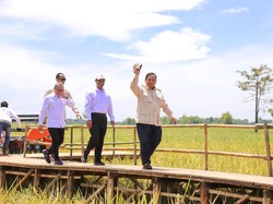 Survei Indikator Politik Indonesia: Kinerja Mentan Amran Tertinggi 84,9%