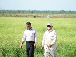 Top! Amerika Krisis Pangan, Indonesia Berjaya