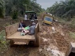 Jasad Warga Diangkut Pakai Traktor Sawit, Ini Kata Wabup Tanjabtim