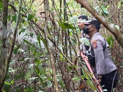 Aksi Sigap Pamapta Polres Kampar-TNI Padamkan Api Karhutla di 2 Ha Lahan