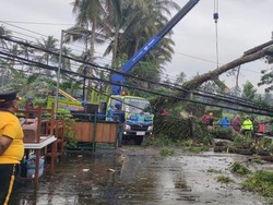 Dua Pohon Tumbang di Jalur Denpasar-Singaraja, Warung Warga Tertimpa