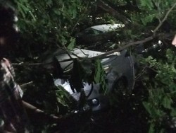 DLH Makassar Duga Pohon Tumbang Timpa Mobil di Perintis Imbas Proyek Drainase