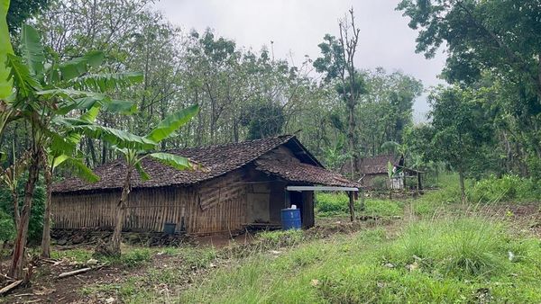 Foto 3 Keluarga Penghuni Hutan Watuseno di Batas Mojokerto-Jombang