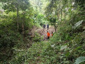Pria di Luwu Hilang Saat Pantau Kebun di Pegunungan, Tim SAR Cari