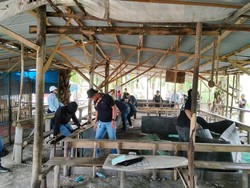 Polisi-TNI Gerebek Judi Sabung Ayam Bupati Arena di Kampar