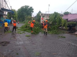 Puting Beliung Terjang Waru Sidoarjo, Pohon Tumbang-Warkop Ambruk