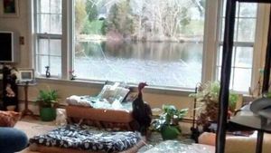 Baru Beli Rumah Impian, Eh Langsung Menyesal