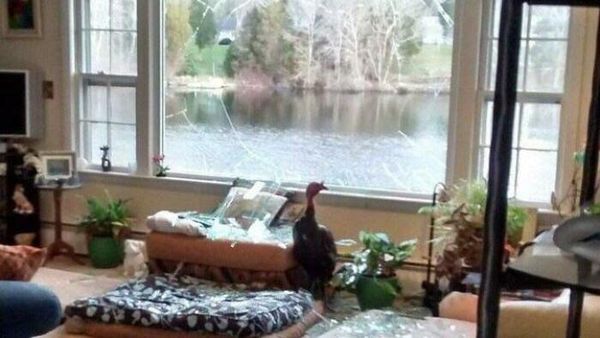 Baru Beli Rumah Impian, Eh Langsung Menyesal